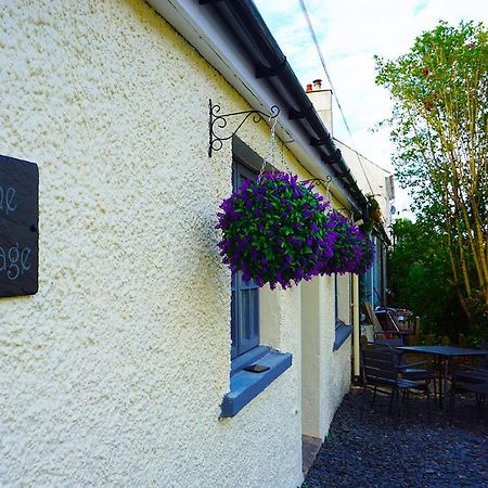 Staycation At Pine Cottage, A Newly Refurbished Holiday Cottage Goodwick Exterior foto