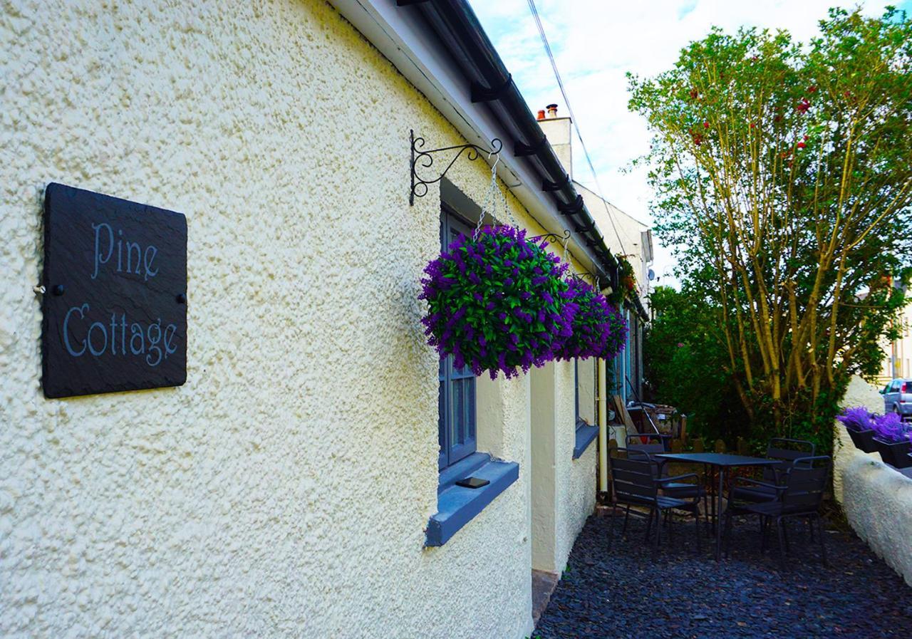 Staycation At Pine Cottage, A Newly Refurbished Holiday Cottage Goodwick Exterior foto